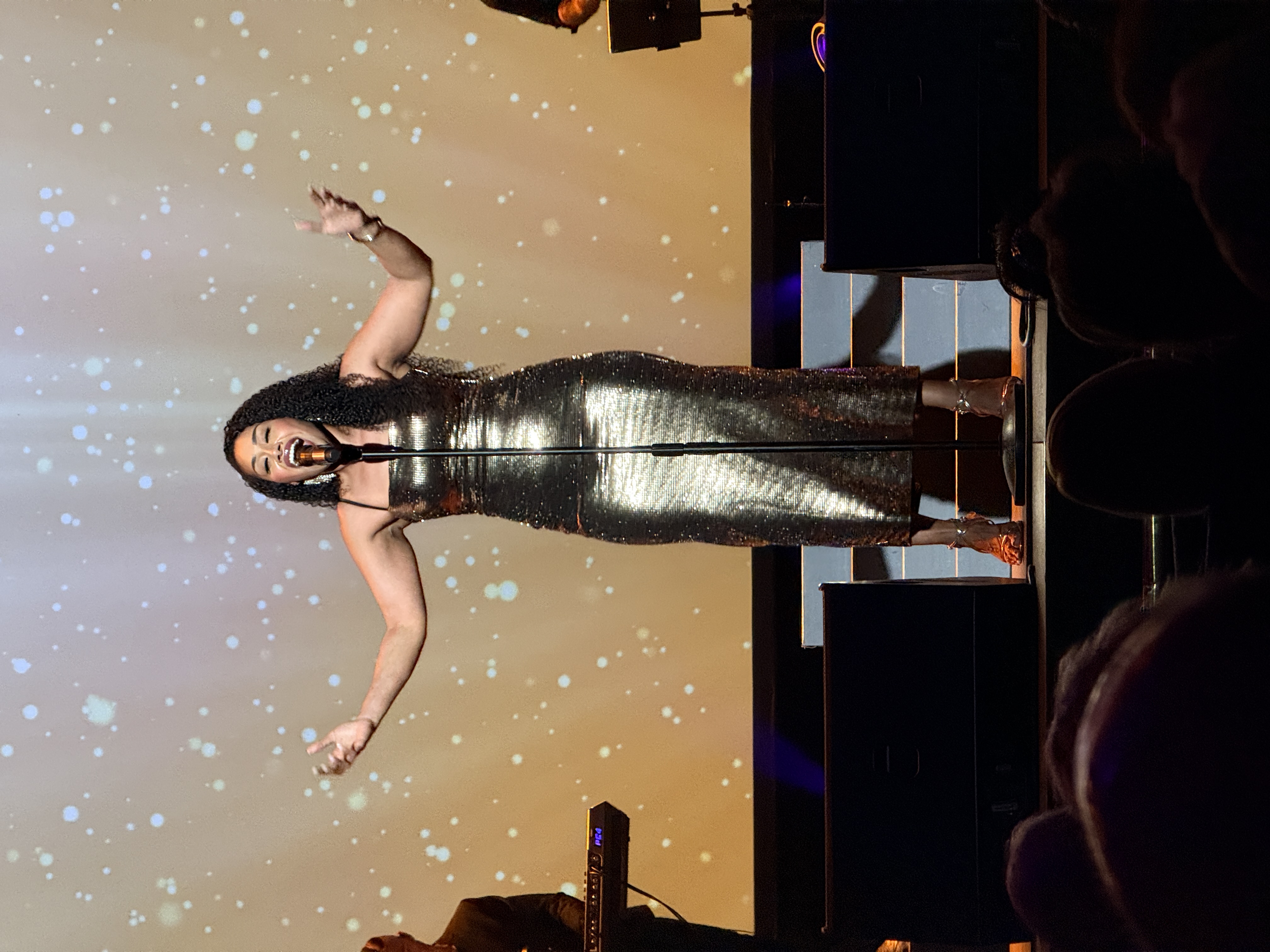 Paulini performing live in a silver dress